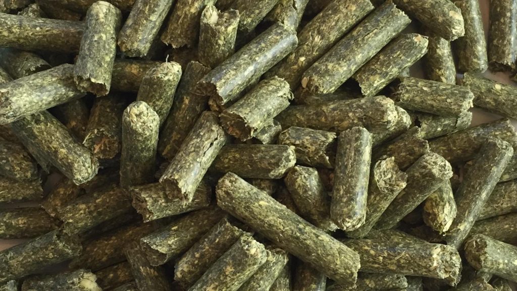 Mountain Sunrise 80/20 Hay Pellet Agape Distributors