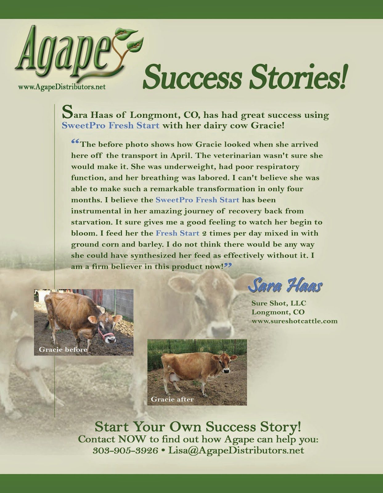 Dairy Cow: Gracie Success Story – Agape Distributors