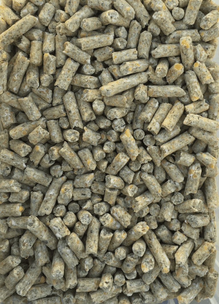 Modesto Milling Organic Layer Pellets 17 (5998 & 5997) Agape